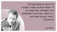 История птичьей верности