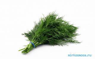 Автору кучу зелени за подборку. Поржал, рахмет, дорогой