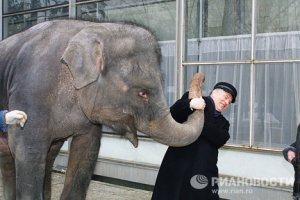 Пиндосовский Вольфычь!?!?!?