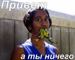 Женщины и их логика: подборка прикольных СМС