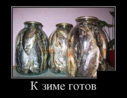 Готовится надо так