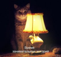 Семья оживила замерзшего котенка, найденного под снегом