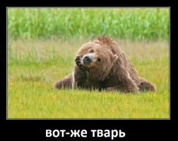 Голодному крокодилу черепаха и змея - на один зуб