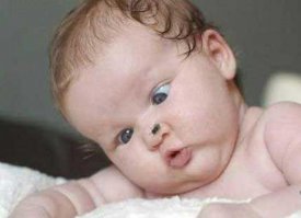 че-т я про дятла не вкурил..как-так-то?