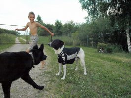 У родителей подруги собаку кошка выкормила. Разумеется, его кормили... Вырос где-то со среднюю дворняшку.
А! Вот этот собак (тот, что в майке)