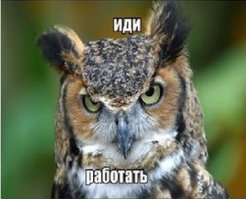 Это сколько должно быть свободного времени у людей, чтобы распространять и обсуждать подобное по сети и вообще заниматься этой хренью??????