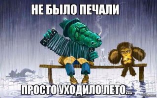  Животные в шоке