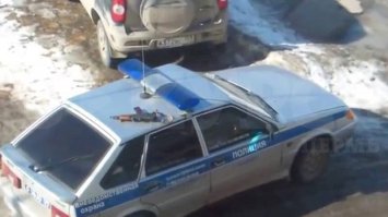 да ладно че там... и не такое оставляли