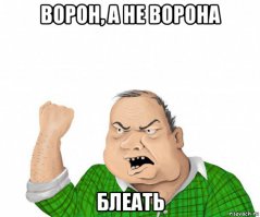 Если не человек, то кто? Дикий ворон прилетел на ферму и карканьем просил удалить иглы дикобраза из головы