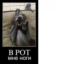 Сотрудник автосервиса