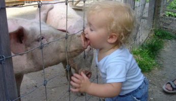 Калитку, конечно, закрывать надо ,но чтобы уж наверняка террористы не сунулись, можно в детском саду свинок развести. И деткам радость будет.  :)