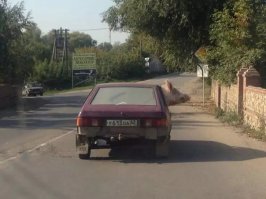 Все как в анекдоте, только почему то без каски :)