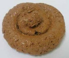 День восьмой, крокодил покинул питона...