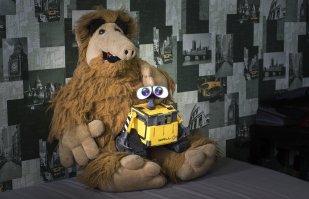 Два моих любимых персонажа. Этому Альфу уже 18 лет. Я купил его совершенно случайно, когда шел сериал по СТС. А так как он большой, я садил его на переднее сиденье своей восьмерки, пристегивал ремнем и так ездил с ним по городу. Восторгу зрителей не было конца. У меня с Альфом выросли дети, он все еще живет с нами, сидит вот сейчас на шкафу в прихожей. Альф навсегда. А Вилли, конечно, сдал...