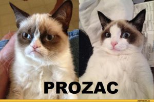 А нам это обязательно надо знать? У каждого бывают свои проблемы и депрессии, но зачем же их публично обсуждать? Я не понимаю.
На фото: Да, что вы знаете о депрессантах...