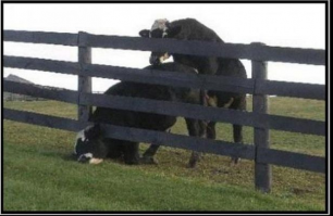 Напрашивается ))