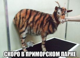 Чужих детей не бывает!