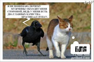 10 животных, о популярности которых можно только мечтать