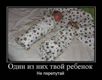 Каджит не виноват, каджит пользовался контрацептивами!