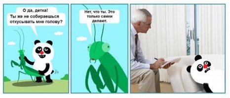 Вы знаете, что САМКА БОГОМОЛА ЧАСТО ПОЖИРАЕТ МОЗГ САМЦА ВО ВРЕМЯ СПАРИВАНИЯ