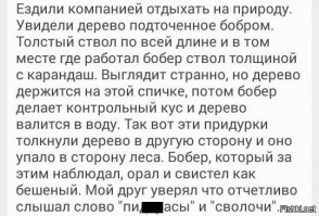 Как развлечь себя при помощи монетки и гвоздя
