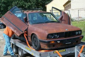 Это субкультура рат род называется .