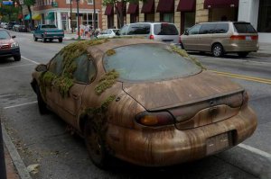 Со мхом красивее!