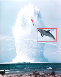 Мы тоже глушили но не такими масштабами...