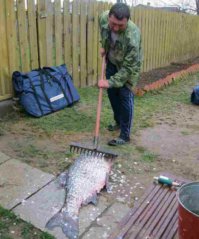 Сумасшедшая рыбалка, которая не даст вам заскучать 