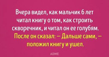 Детское  решение проблемы с жильём птиц . :)