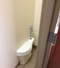 Защеманама ругаися, нащальникама?