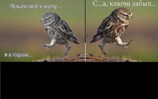 Забавные истории продавцов из магазина автозапчастей