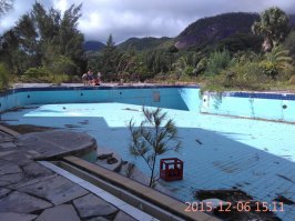 Не могу подтвердить собственным опытом, ибо не был. Но люди в блогах публикуют фото крупных хвойных с Маэ. На Вашей же фото что-то очень похожее на хвойное. 
Но могу ошибаться, еще раз повторю, я только на знания из инета в этом случае полагаюсь....