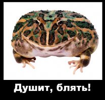 Как я провожу свою зиму