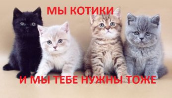 Тогда и сейчас