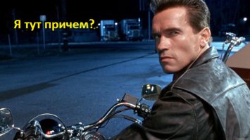 Автомобиль «настучал» в полицию на американку, которая скрылась с места ДТП