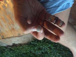 Третий день