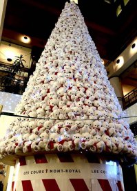 Фотоподборка за 14.12.2015