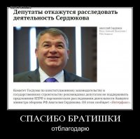 Сердюков снова в деле