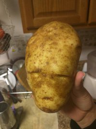 Фотоподборка за 14.12.2015