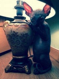 Должок, чтобы помнили!