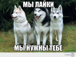 Тогда и сейчас