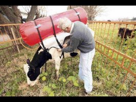 это что ... 
вот мейнстрим