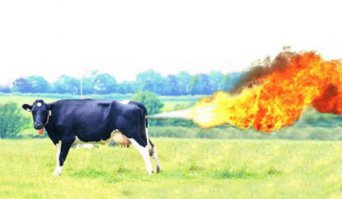 только надо технику безопасности соблюдать а то ...