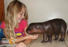 Карликовый бегемот 