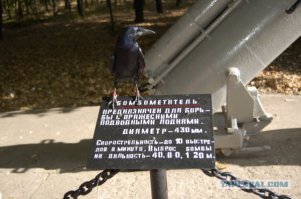 Фотоподборка за 14.12.2015