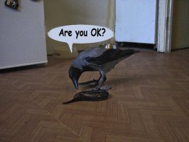 Фотоподборка за 14.12.2015