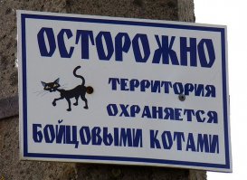 "Ахтунг! Злюкен собакен. Яйцен клац-клац"