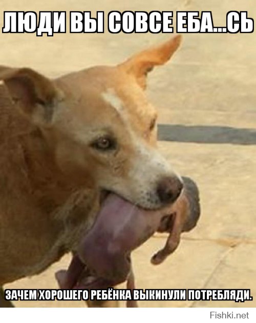 Жители бразильского города были в шоке, когда увидели кого несла эта собака
