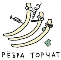Интересная штука, этот буквальный смысл слова!